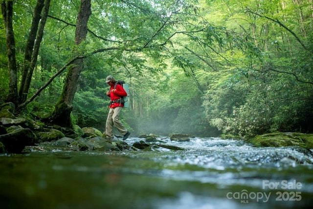 193 Falls View Dr, Lake Toxaway, NC 28747 - water view with a heavily wooded area