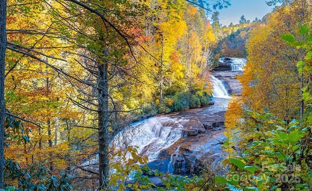 193 Falls View Dr, Lake Toxaway, NC 28747 - water view with a heavily wooded area