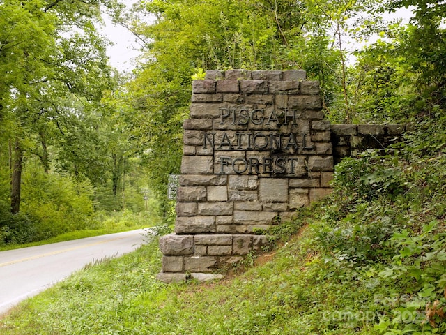 193 Falls View Dr, Lake Toxaway, NC 28747 - exterior view of a heavily wooded area
