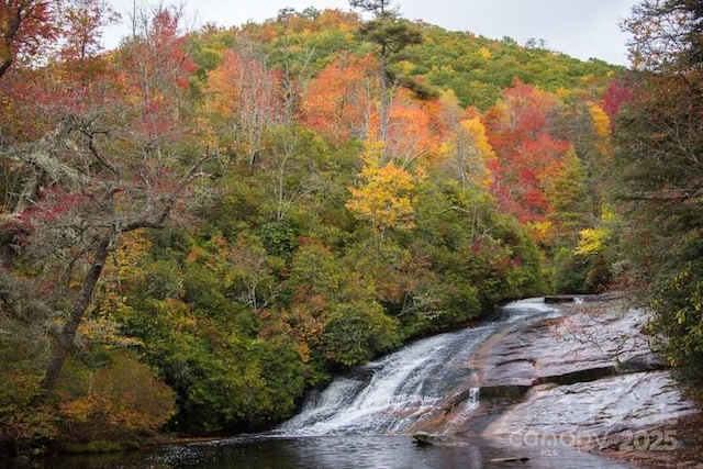 193 Falls View Dr, Lake Toxaway, NC 28747 - view of property location featuring a forest