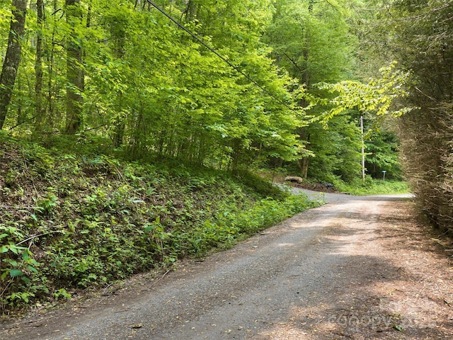 23 Forbidden Cv, Waynesville, NC 28785 - photo 1
