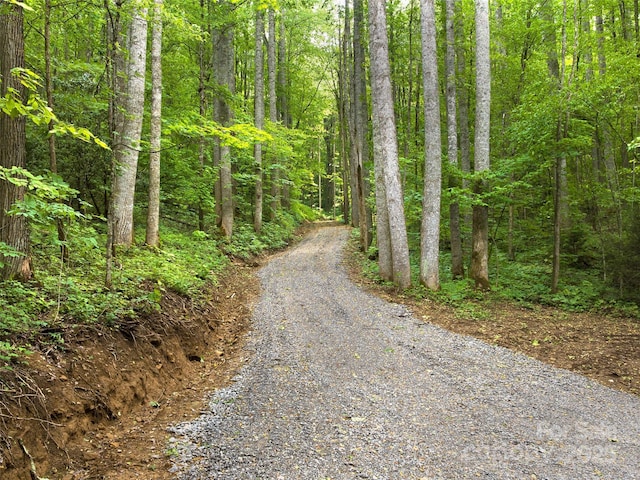 23 Forbidden Cv, Waynesville, NC 28785 - photo 2
