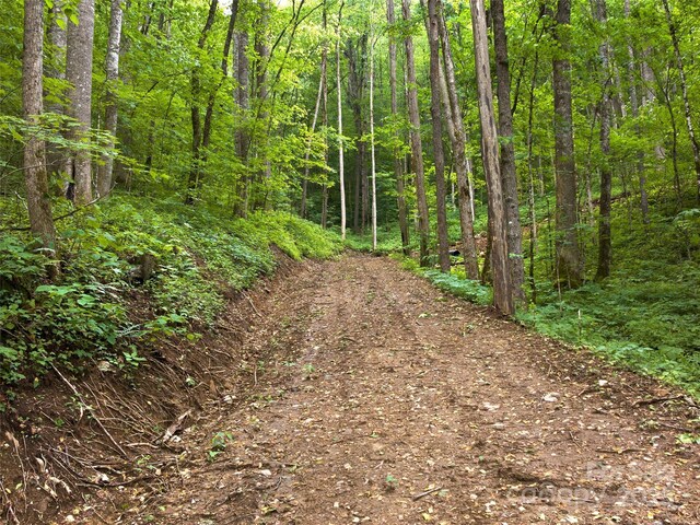 23 Forbidden Cv, Waynesville, NC 28785 - photo 3