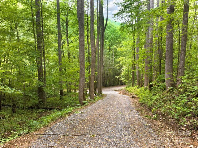 23 Forbidden Cv, Waynesville, NC 28785 - photo 4