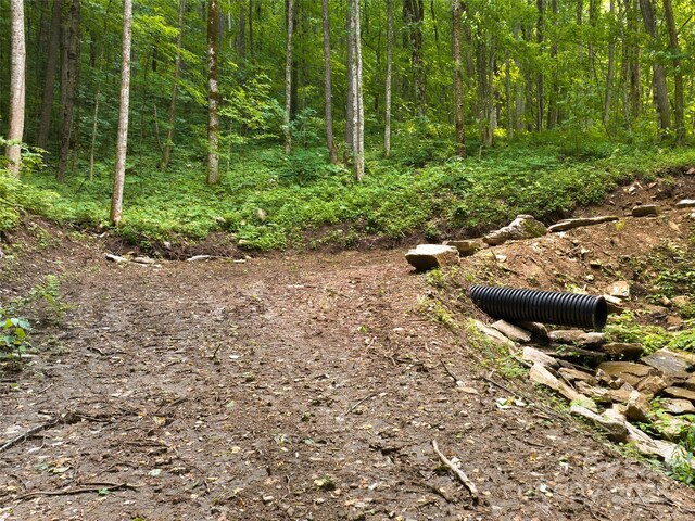 23 Forbidden Cv, Waynesville, NC 28785 - photo 5