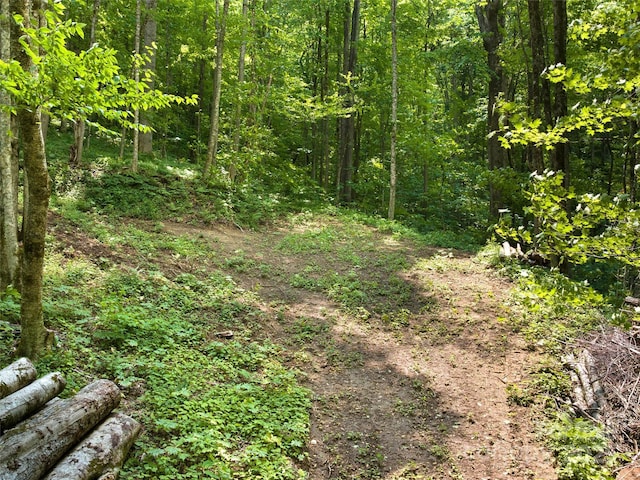 23 Forbidden Cv, Waynesville, NC 28785 - photo 6