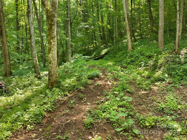 23 Forbidden Cv, Waynesville, NC 28785 - photo 7