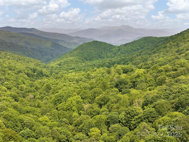 23 Forbidden Cv, Waynesville, NC 28785 - photo 8