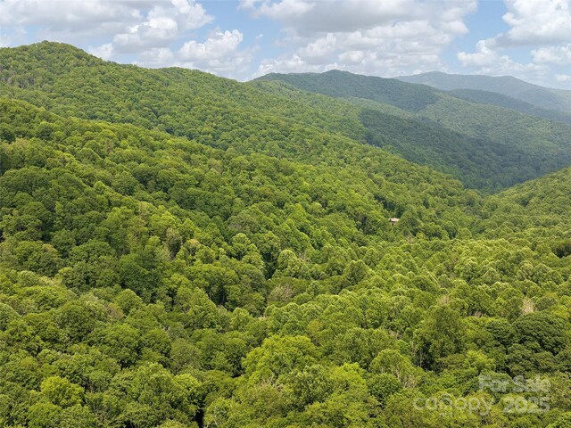23 Forbidden Cv, Waynesville, NC 28785 - photo 9