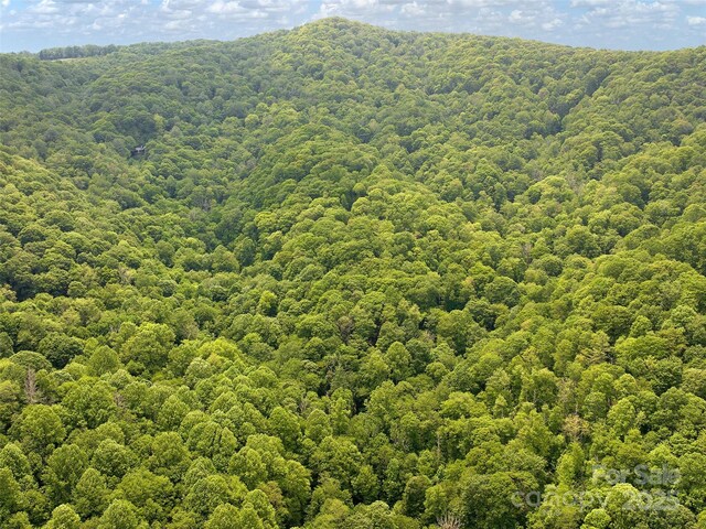 23 Forbidden Cv, Waynesville, NC 28785 - photo 10