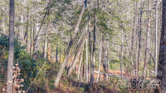 TBD Toxaway Falls Dr Tr-A, Unit Tr-A Lake Toxaway, NC 28747