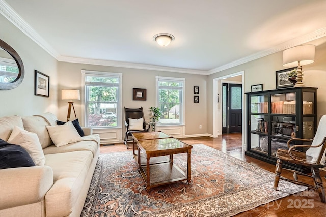 1175 18th Ave NE, Hickory, NC 28601 - living room featuring crown molding, wood finished floors, and baseboards