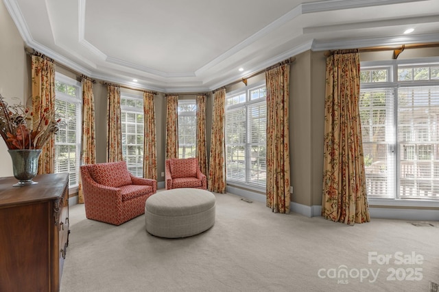 1629 Southpoint Ln, New London, NC 28127 - living area with carpet, ornamental molding, and a raised ceiling