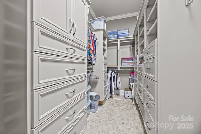 1629 Southpoint Ln, New London, NC 28127 - view of walk in closet