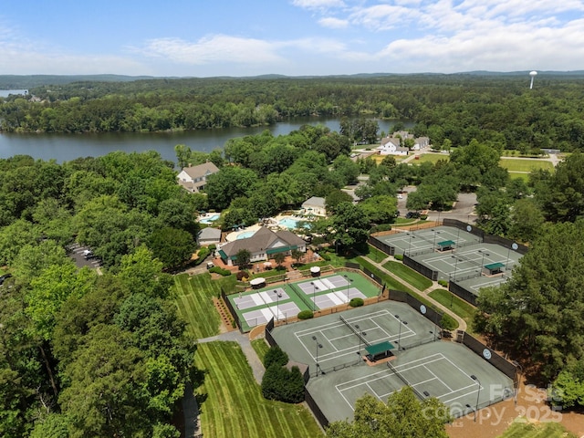 1629 Southpoint Ln, New London, NC 28127 - aerial view of a forest and a nearby body of water
