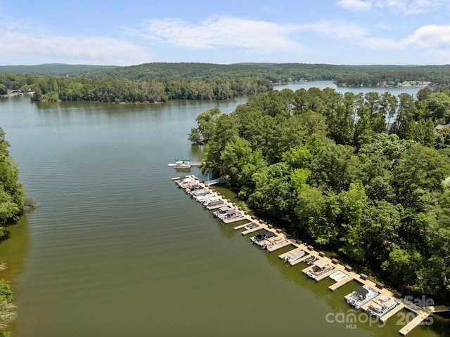 1629 Southpoint Ln, New London, NC 28127 - drone / aerial view of a heavily wooded area and a large body of water