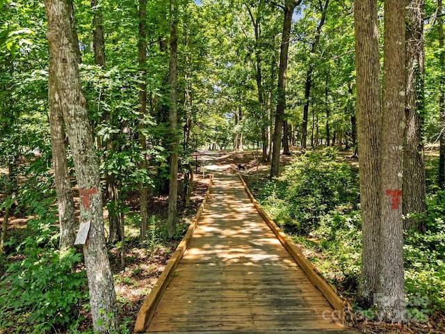 1629 Southpoint Ln, New London, NC 28127 - view of home's community featuring a view of trees
