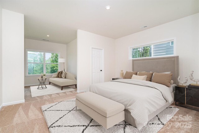 18019 Wilbanks Dr, Charlotte, NC 28278 - carpeted bedroom with multiple windows, baseboards, and recessed lighting