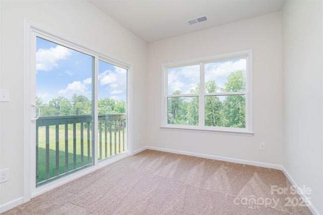 18019 Wilbanks Dr, Charlotte, NC 28278 - empty room featuring carpet flooring, plenty of natural light, and baseboards