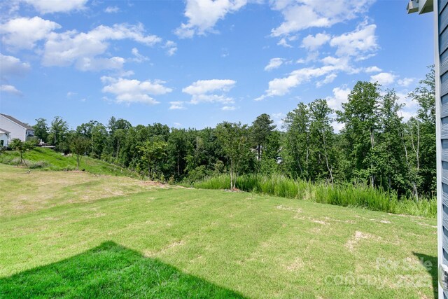 18019 Wilbanks Dr, Charlotte, NC 28278 - view of green lawn