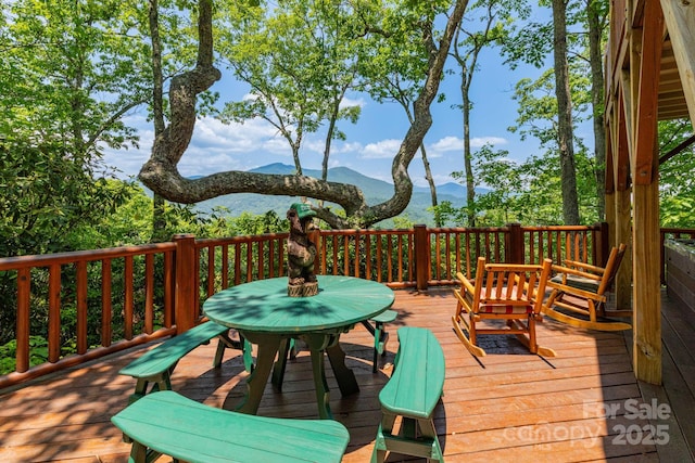 321 Tsalagi Trl, Maggie Valley, NC 28751 - photo 3
