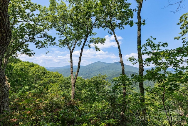 321 Tsalagi Trl, Maggie Valley, NC 28751 - photo 4