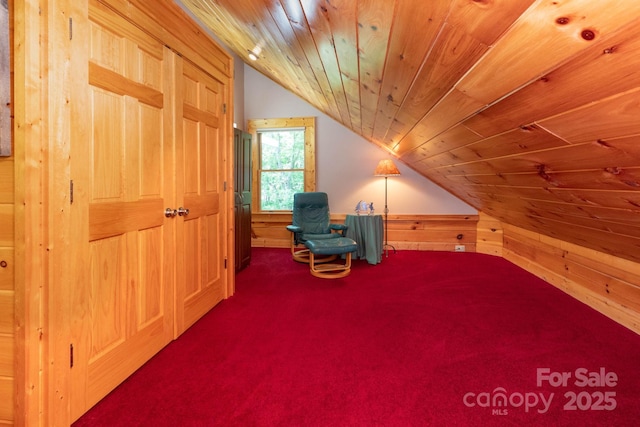 321 Tsalagi Trl, Maggie Valley, NC 28751 - photo 14