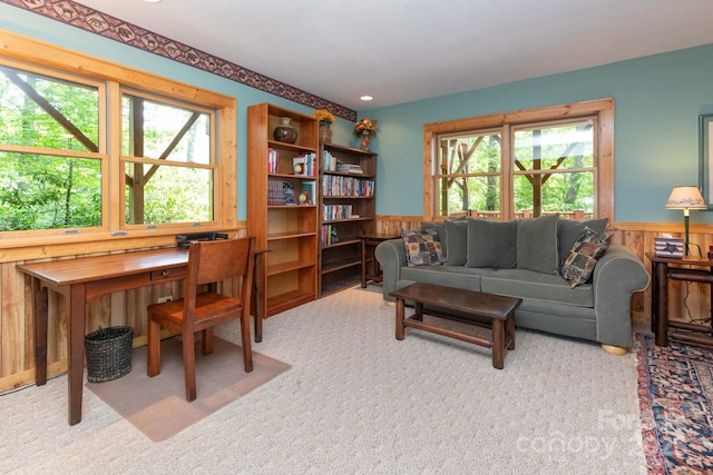 321 Tsalagi Trl, Maggie Valley, NC 28751 - photo 18