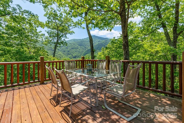 321 Tsalagi Trl, Maggie Valley, NC 28751 - photo 25