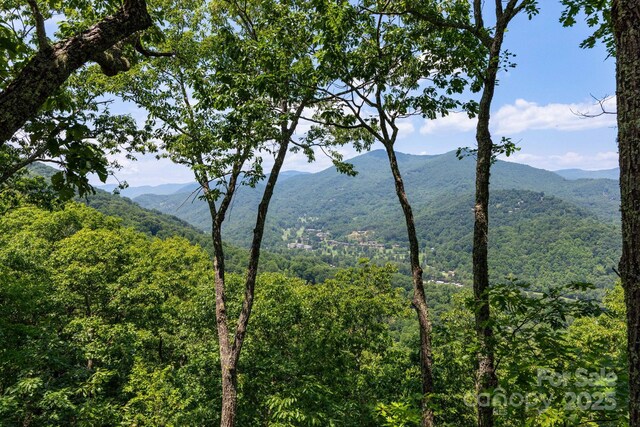 321 Tsalagi Trl, Maggie Valley, NC 28751 - photo 26