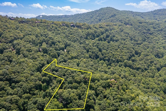 321 Tsalagi Trl, Maggie Valley, NC 28751 - photo 30