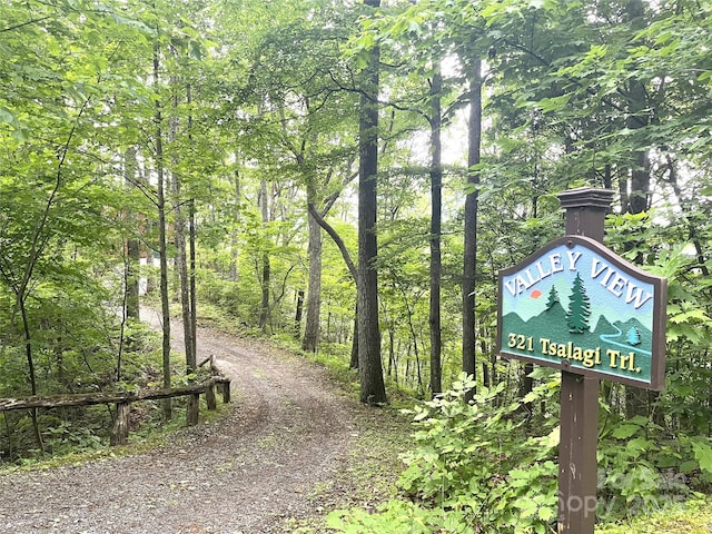 321 Tsalagi Trl, Maggie Valley, NC 28751 - photo 23