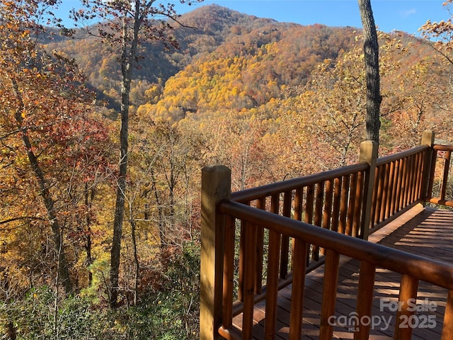 321 Tsalagi Trl, Maggie Valley, NC 28751 - photo 35