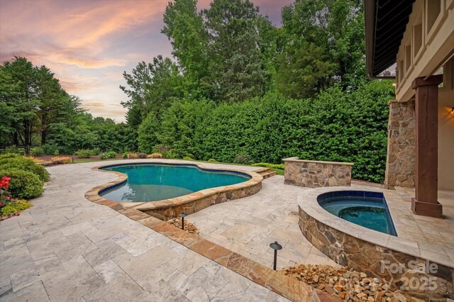1501 Alydar Ct, Waxhaw, NC 28173 - outdoor pool featuring an in-ground hot tub and a patio