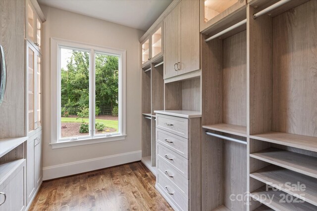 1501 Alydar Ct, Waxhaw, NC 28173 - walk in closet with light wood-style floors
