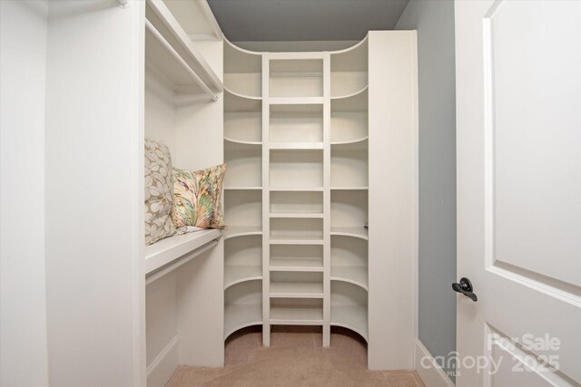 1501 Alydar Ct, Waxhaw, NC 28173 - spacious closet with carpet