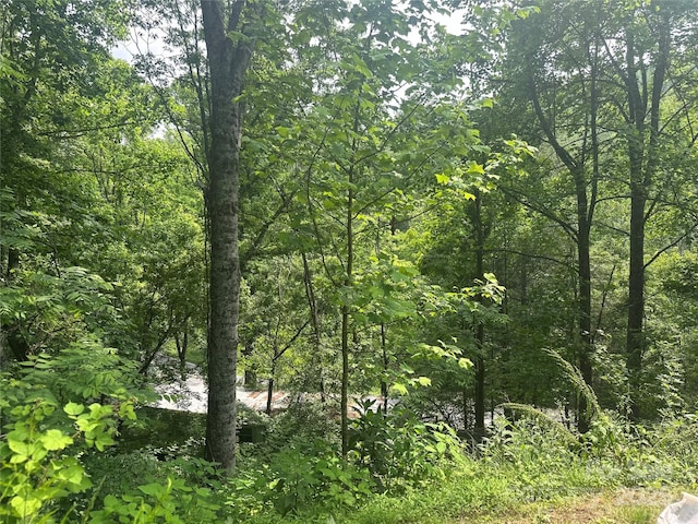 193 Green Cove Rd, Bakersville, NC 28705 - photo 21