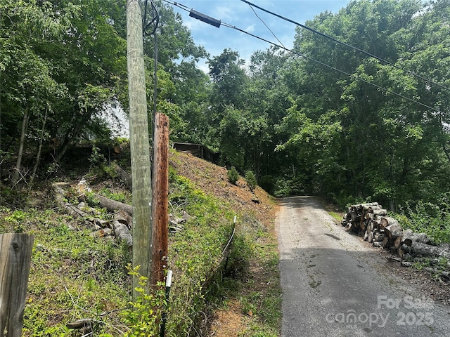193 Green Cove Rd, Bakersville, NC 28705 - photo 26