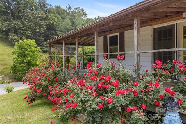 461 Tweed Rd, Madison, NC 28753 - view of home's exterior with a yard