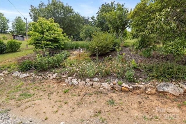 461 Tweed Rd, Madison, NC 28753 - view of local wilderness