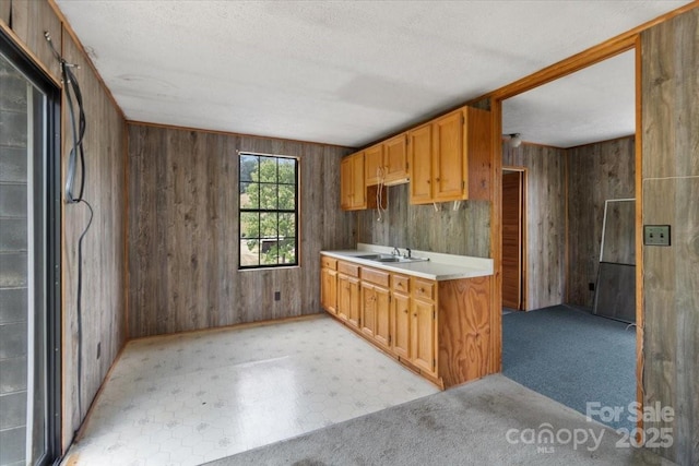 461 Tweed Rd, Madison, NC 28753 - kitchen with light countertops and wood walls