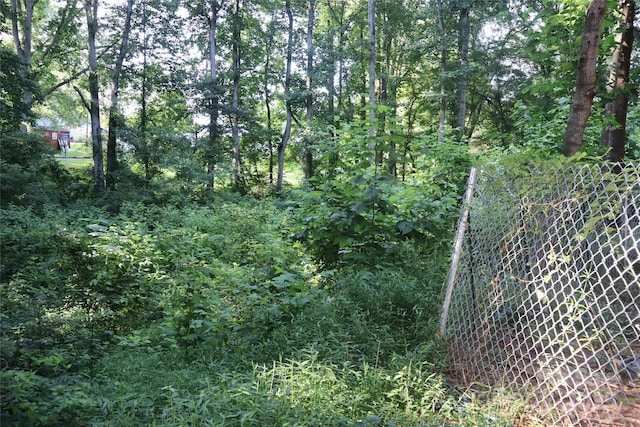 226 Lake Sylvia Rd, Lincolnton, NC 28092 - view of woods