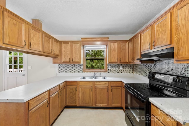 1156 Westover Cir, Rock Hill, SC 29732 - kitchen featuring black electric range oven, under cabinet range hood, a sink, light countertops, and a peninsula