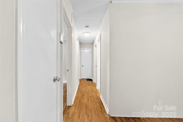 1156 Westover Cir, Rock Hill, SC 29732 - corridor featuring light wood-type flooring and baseboards