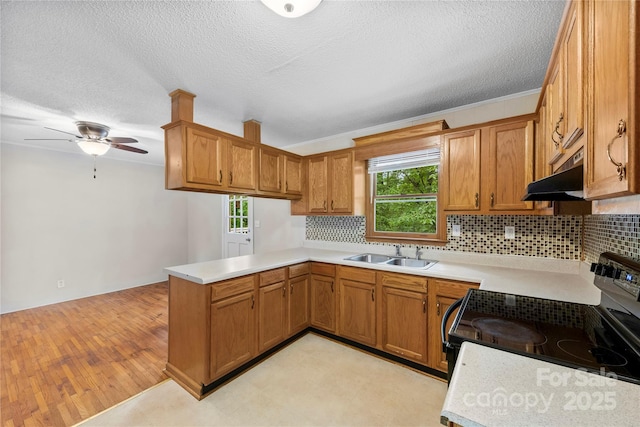 1156 Westover Cir, Rock Hill, SC 29732 - kitchen with a sink, under cabinet range hood, range with electric cooktop, light countertops, and a textured ceiling