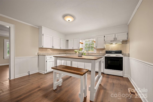 516 Boss Moore Rd, Ellenboro, NC 28040 - kitchen featuring electric range oven, under cabinet range hood, a wainscoted wall, dark wood-style floors, and white cabinets