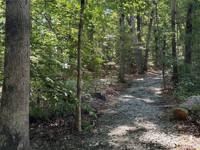 140 Maplewood Ct, Hudson, NC 28638 - view of tree filled area