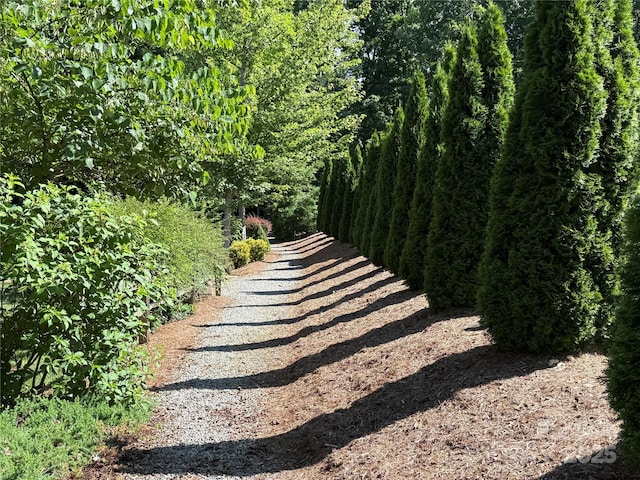 140 Maplewood Ct, Hudson, NC 28638 - view of yard featuring a forest view