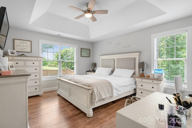 140 Maplewood Ct, Hudson, NC 28638 - bedroom with a raised ceiling, multiple windows, light wood-type flooring, and ceiling fan