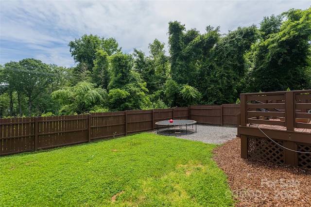 14 Alice Clement Ln, Asheville, NC 28803 - photo 40